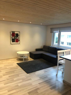 Modern cozy 2 bedroom apartment near City center